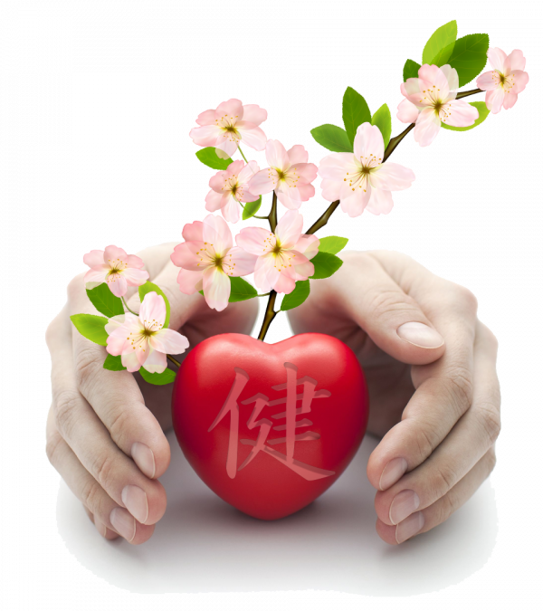 npugacheva_g1715699057.png