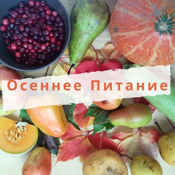 ppzhdanova_g1690713013.png